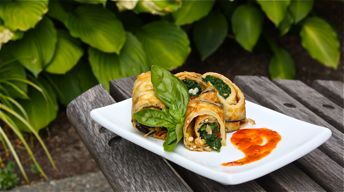 Eggplant Roulade